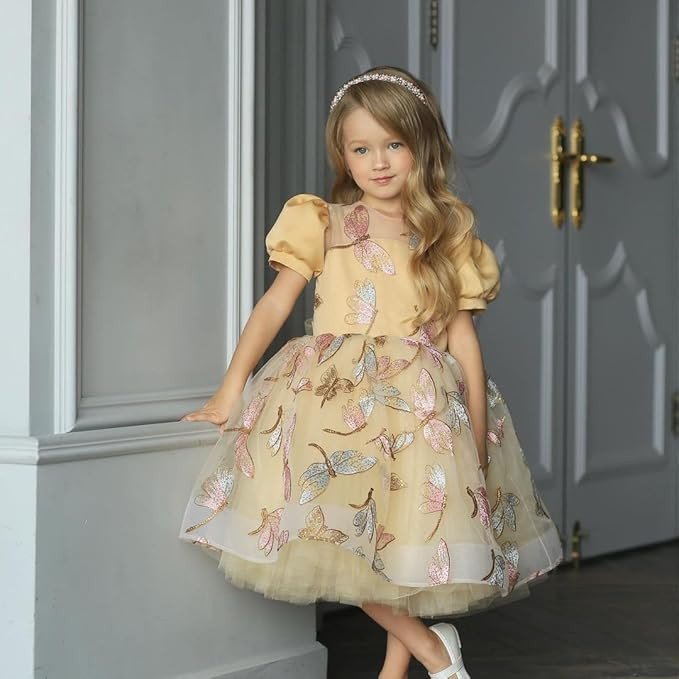 Niren Enterprise Princess Kids Girls Dress – Celebration Collection Frock, Midi/Knee Length (1–8 Years)